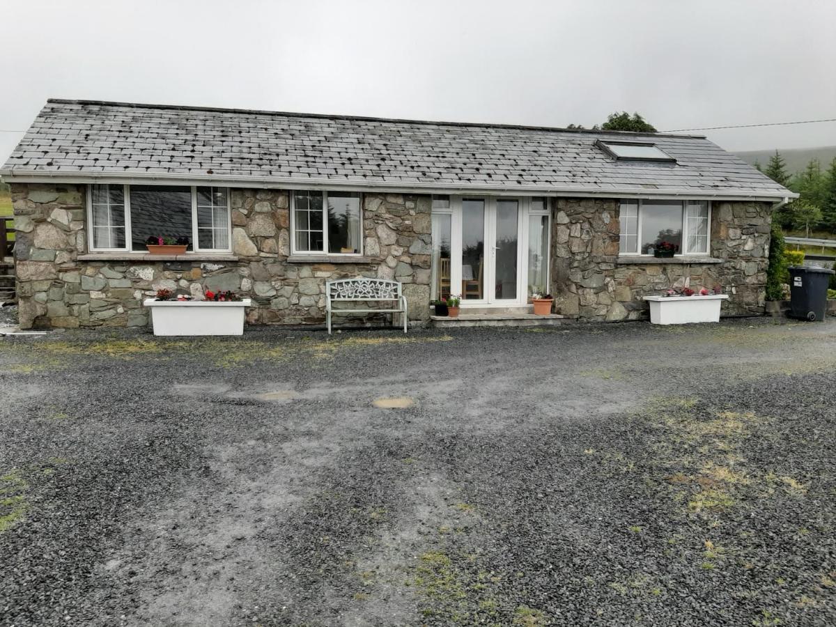 The Lodge Guesthouse Brittas Exterior photo